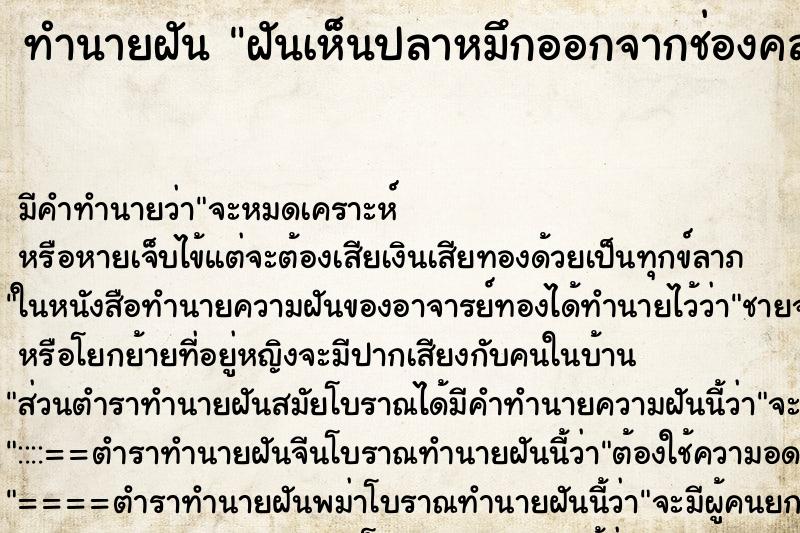 ทำนายฝันทำนายฝันฝันเห็นปลาหมึกออกจากช่องคลอด